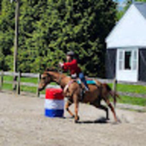 Meet your Posher, Ava